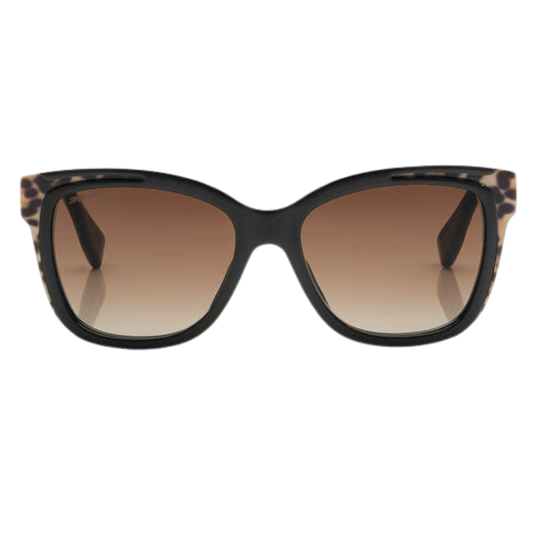 Lunettes de soleil Jimmy Choo | Modèle Bebi- Pue Animal